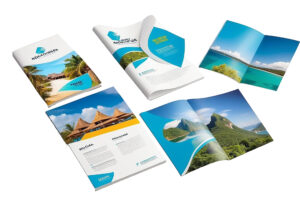 Business Brochure & Catalogue Printing
